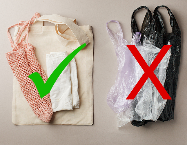 Sacs de plastique à usage unique