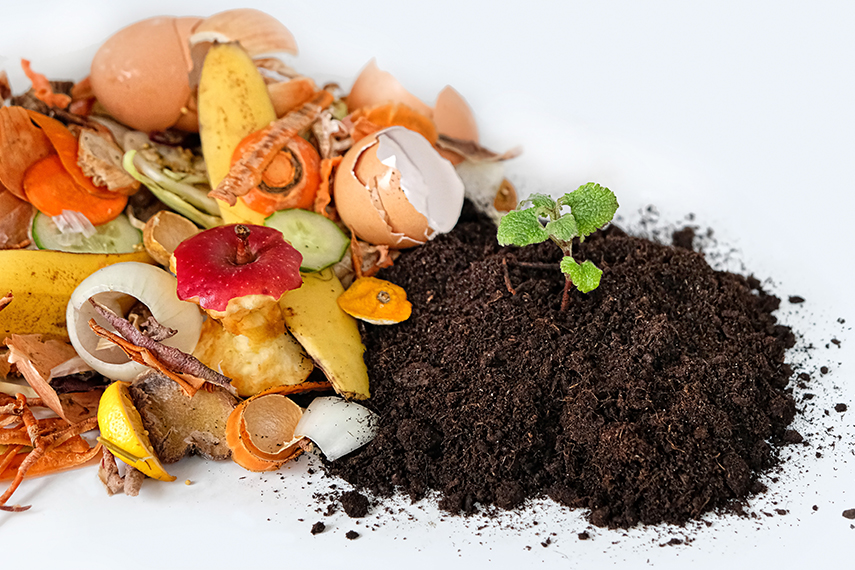 Avantages du compostage